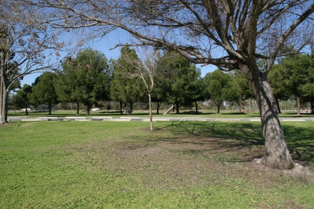 Enlarge photo 34