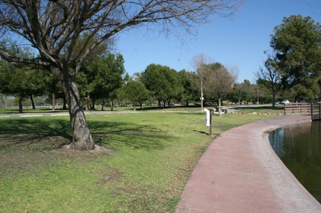 Enlarge photo 36