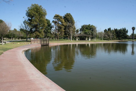Enlarge photo 37