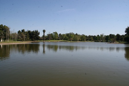 Enlarge photo 35