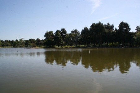 Enlarge photo 38