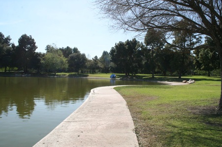 Enlarge photo 39