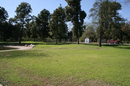 Enlarge photo 41