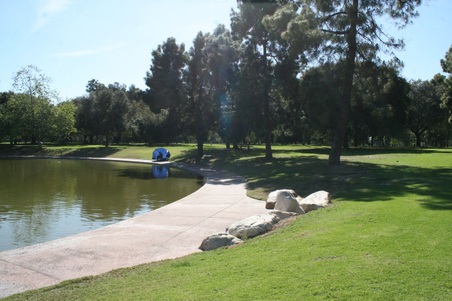 Enlarge photo 40