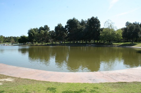 Enlarge photo 42