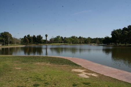 Enlarge photo 43