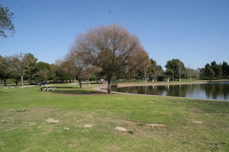 Enlarge photo 44