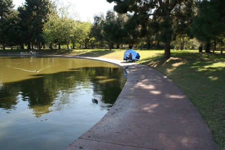 Enlarge photo 45