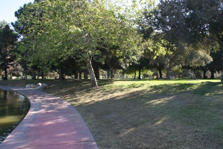 Enlarge photo 48