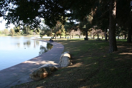Enlarge photo 47