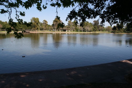 Enlarge photo 49