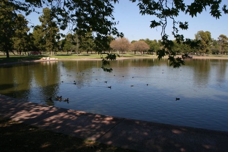 Enlarge photo 50
