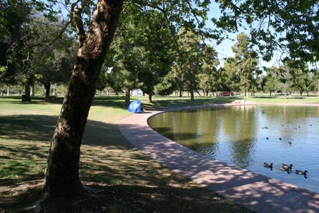 Enlarge photo 51