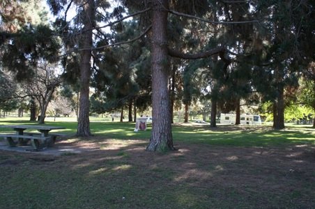 Enlarge photo 52