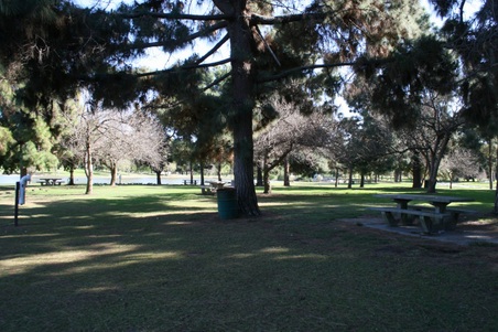 Enlarge photo 53