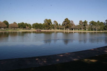 Enlarge photo 56