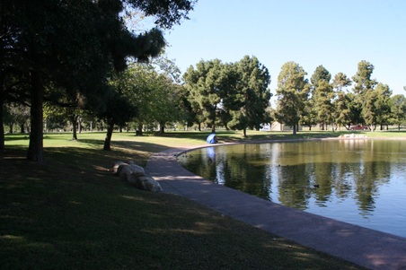 Enlarge photo 57