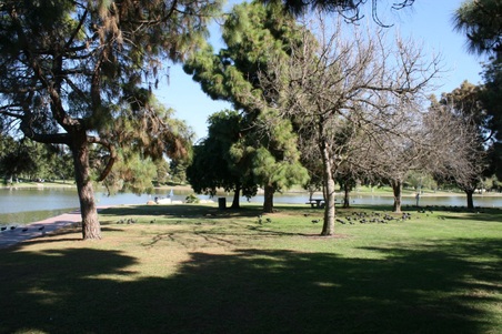 Enlarge photo 58
