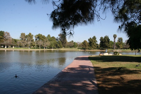 Enlarge photo 59