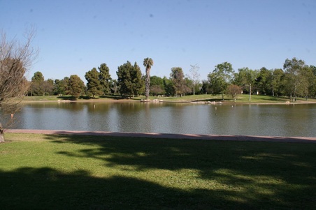 Enlarge photo 62