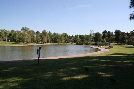 Enlarge photo 63