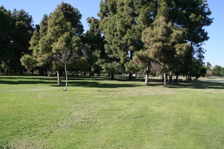 Enlarge photo 67