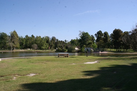 Enlarge photo 71