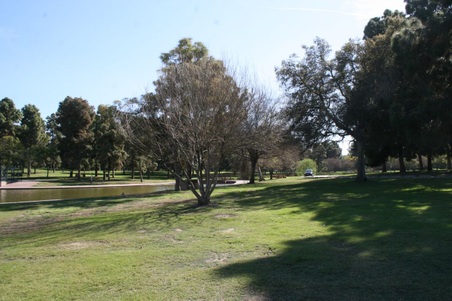 Enlarge photo 72