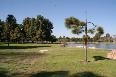 Enlarge photo 73