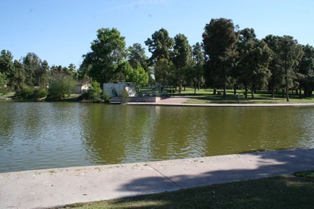 Enlarge photo 76