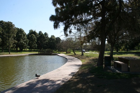 Enlarge photo 77
