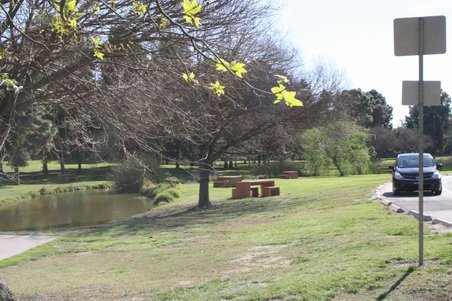 Enlarge photo 80