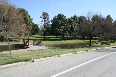 Enlarge photo 81