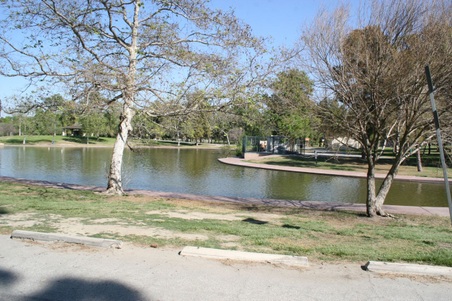 Enlarge photo 82