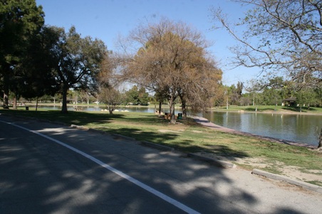 Enlarge photo 83