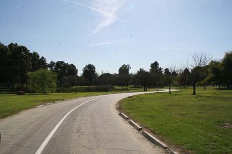 Enlarge photo 85