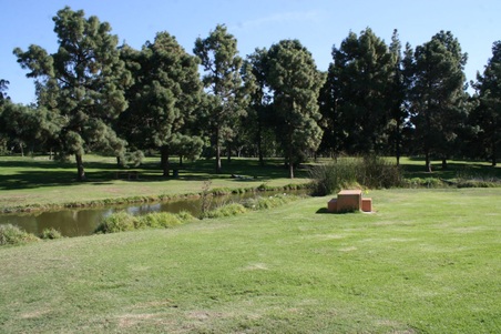 Enlarge photo 86