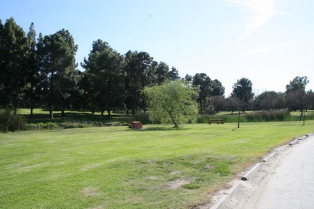 Enlarge photo 87