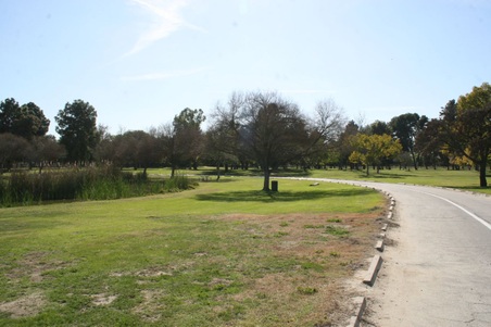 Enlarge photo 88