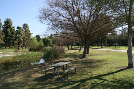 Enlarge photo 89