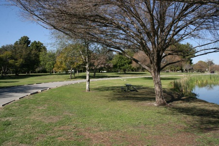 Enlarge photo 91