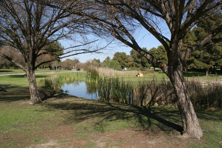 Enlarge photo 92