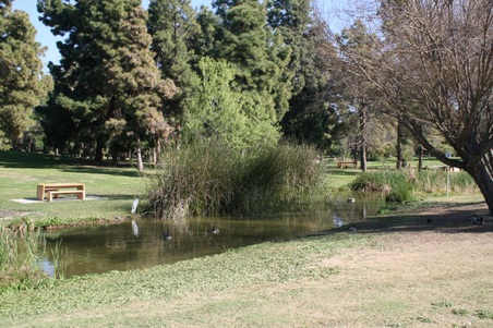 Enlarge photo 93