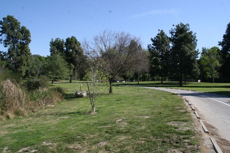 Enlarge photo 94