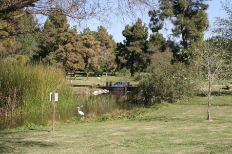 Enlarge photo 96