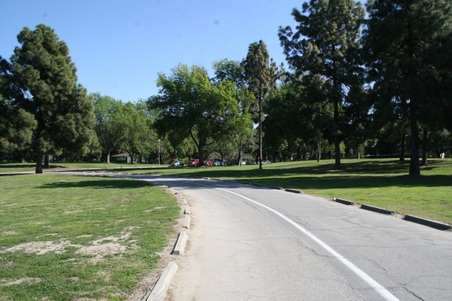Enlarge photo 95