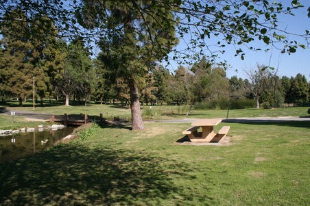 Enlarge photo 97