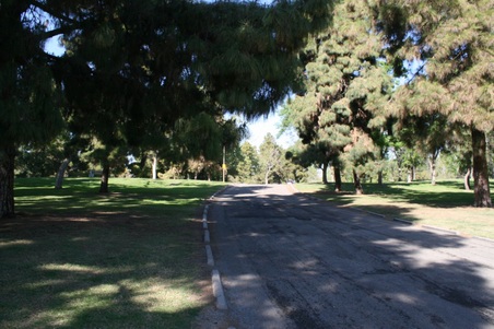 Enlarge photo 102