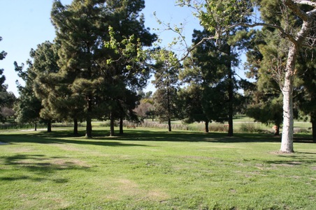 Enlarge photo 103