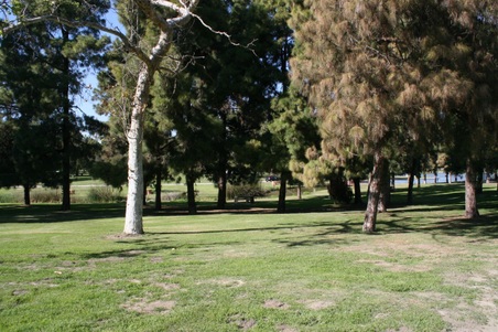 Enlarge photo 104